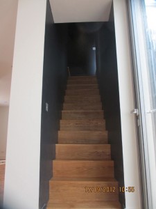 IMG 0019